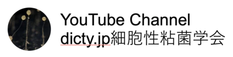 dicty.jp_YouTube